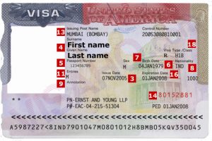 Dịch vụ tư vấn visa đi Hoa Kỳ